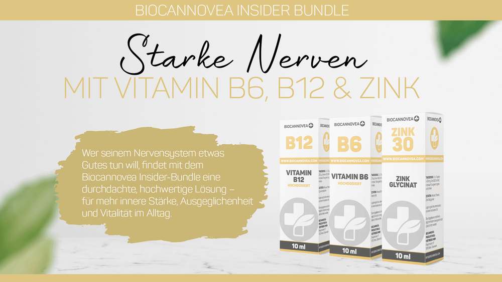 Starke Nerven Bundle - BIOCANNOVEA - 